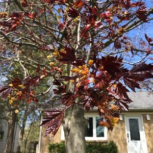 Meet your Posher, Margo